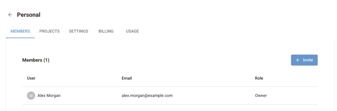 Workspace Members tab with one owner and an Invite button